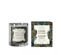 Panier Des Sens - BOUGIE PARFUMÉE Cèdre Sauvage - Contenance : 275 g