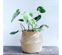 Panier Rond En Rotin Avec Poignée Pliante En Osier, Stockage De Plantes D'herbe De Mer Naturelle, Jardinière En Bois, Décoration De Pot De Fleur