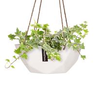 Panier suspendu Laren Ø 28 cm polystone avec cordes naturelles
