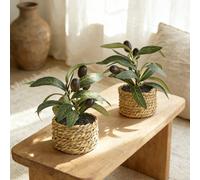 Panier tressé à la main avec mini plante en pot d'olivier artificiel, décoration de style boho et de ferme, convient pour le bureau, le bureau à domicile, la cuisine Taille UniquePolystyrène