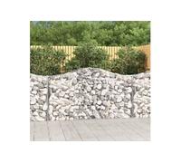 vidaXL Paniers à gabions arqués 10 pcs 200x50x100/120 cm