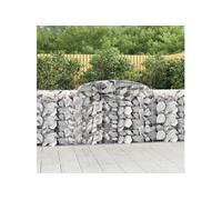 vidaXL Paniers à gabions arqués 20 pcs 300x50x100/120 cm fer galvanisé, gabion, cage de gabion, panier de mur de gabion, mur 3146715 Gris G