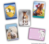 Panini - Boîte de Stickers Collection Chevaux - 24 pochettes de 8 cartes (192 cartes total) avec races, poulains, messages et à colorier