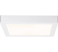 Panneau à LED blanc mat 1x LED intégrée Paulmann Lunar 706.46 17 W N/A 1 pc(s)