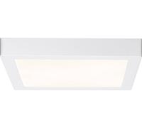 Paulmann Panneau à LED Lunar 706.46 blanc mat 1x LED intégrée 17 W 1 pc