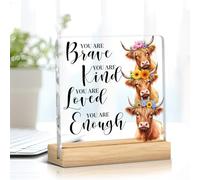 Panneau décoratif en acrylique motif vache des Highlands - Cadeau positif inspirant pour femme et amie - Décoration de bureau pour la maison, la ferme, la salle de bain, la chambre à coucher - You Are