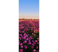 Panneau mural douche en alu-composite VIPANEL - Inspiration Nature Décor Pivoines - Finition Brillant - 100x255cm