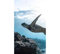 Panneau mural douche en alu-composite VIPANEL - Inspiration Nature Décor Tortue - Finition Brillant - 150x255cm