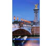 Panneau mural douche VIPANEL - Paysage urbain Paris 2 - Finition brillant - 1500x2550