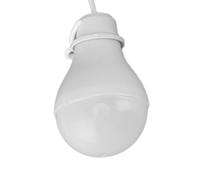 Panneau Pliable 30W avec Lampe LED pour Camping Panneau Pliable(light bulbs only)