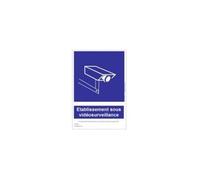 Panneau pvc 15x21 signalisation videosurveillance mural