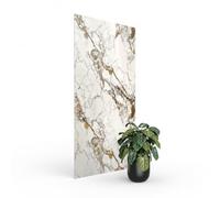 Panneau PVC - Effet Marbre Blanc Doré - 250 x 120 cm - 15 ans Garantie