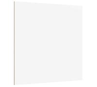 Panneaux décoratifs en bois - vidaXL - 12 pièces - Blanc - 30x30x0.3 cm - Intérieur & extérieur - Bois d'ingénierie