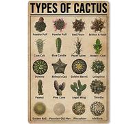 Panneaux en métal - Types de cactus et plantes grasses - Infographies d'éducation des connaissances pour l'école, la cour, la cuisine, le club - Affiches éducatives pour murs - 30,5 x 43,2 cm