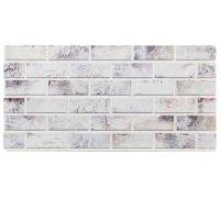 vidaXL : Panneaux muraux, 10 pièces, 100 x 50 cm, gris clair et noir, en mousse EPS