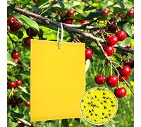 Panngu 50 Piège Cerisier, Anti Moucherons Collant Double Face, Jaune Sticky Papiers pour Blanc Feuille de Mouches, Les Pucerons, Mineur avec des Liens Torsadés,15cm x 20 cm