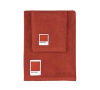 PANTONE™ - Serviettes de bain pour visage et bidet en éponge pur coton 100 % certifié OEKO-TEX, set de serviettes de bain pour visage et invité 50 x 100 cm et 40 x 50 serviettes hygiéniques souples
