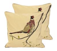 Paoletti Hunter Velvet Twin Pack Coussins remplis de Polyester, Velours, Naturel, 45 x 45cm