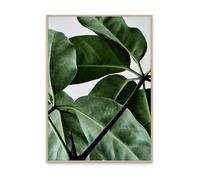 Paper Collective Poster Green Home - Green Home 01 - 50 x 70 cm