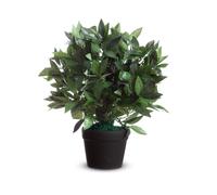 Paperflow Plante artificielle Laurier Ht. 50 cm