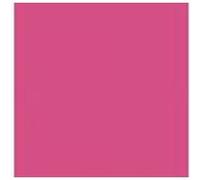 Rouleau de papier kraft "Les Chics" 10 x 0,70 m rose