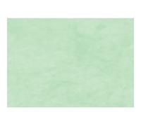 Papier cadeau 'kraft', vert bourgeon