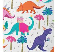 Papier cadeau pour enfants - 70 cm x 2 m - Motifs : Dinosaures.