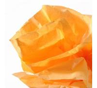 Canson Rouleaux Papier de soie 0,5 x 5 m Orange