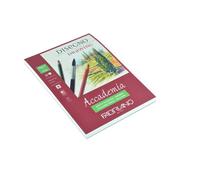 Papier Fabriano Accademia Bloc A5 - 30 Feuil. 200 G - Fabriano