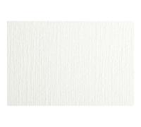 Papier Huile rouleau 1,1x10m 240g