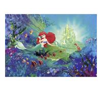 Papier peint Ariel La Petite Sirène Princesse Disney 368X254 CM