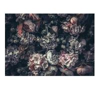 Papier Peint Fleurs 254x184 cm Moderne Noir Fleur Salon Chambre Photo Non Tissé Intissé Muraux Trompe l'oeil