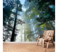 Papier Peint Forêt Ciel Tache De Lumière, 200 x 140 cm Non collé Mural | Or Vert Papier Peint Intissé Panoramique Murale Chambre Salon Bureau Decoration, Photographie Paysage Facile à nettoyer Mural