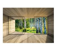 Papier Peint Intissé 3D Effet Panoramique Forêt de bouleaux 412x219 cm Moderne Chambre Salon Photo Non Tissé Muraux Trompe l'oeil
