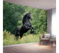 Papier Peint Intissé Animal Cheval Noir, Papier Peint Photo Panoramique Nature Forêt Prairie, Murale Vert Décoration Pour Salon Chambre D'Enfants et Restaurant - 250x175 cm (LxH)
