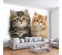 Papier Peint Intissé Animal de Compagnie Animal Chat Moderne, Minimaliste Moderne Art Muraux Photo pour Salon Chambre Bureau, Décoration Peinture Murale Papier Peint Panoramique 450L x 315H cm