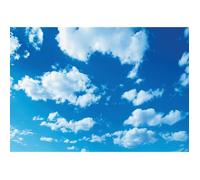 Papier Peint Intissé Ciel Nuages 254x184 cm Bleu Moderne Chambre Salon Photo Non Tissé Muraux Trompe l'oeil