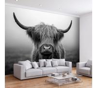 Papier Peint Intissé Ferme Prairie Animal Vache des Highlands Moderne, Style Rustique Art Muraux Photo pour Salon Chambre Bureau, Décoration Peinture Murale Papier Peint Panoramique 450L x 315H cm