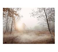 Papier Peint Intissé Panoramique Forêt Brume Nature Paysage 416x254 cm Salon Photo Non Tissé Muraux Moderne Trompe l'oeil
