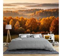 Papier Peint Intissé Papier Peint Panoramique 3D Grand Format Intissé 100 × 70 Cm Représentant Un Paysage De Forêt Et De Collines Brumeuses En Automne Idéal Pour Le Salon Décoration Murale Ph