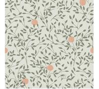 Papier peint intissé Secret 1005x52cm Vert, saumon sur fond beige