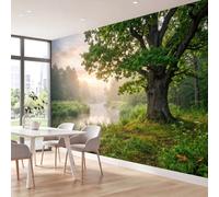 Papier Peint Panoramique Arbres Herbes Sauvages Rivières Brume | XXL Poster Intissé Papier Peint imprimé Photographie De Nature Décor Poster Mural pour Salon Chambre Bureau, 250 x 175 cm