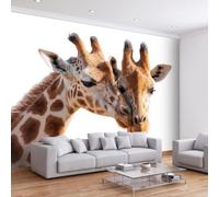 Papier Peint Panoramique Art Numérique Prairie Animal Girafe, Affiche Murale Animaux de la Ferme Mignons 400L x 280H cm, Papier Peint Mural 3D pour Salon Chambre d'enfants Murale de Restaurant