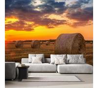 Papier Peint Panoramique Champs De Blé Fermes Intissé Poster Fresque Murale 3D Meules De Foin Wallpaper pour Salon Chambre d'enfant Restaurant Couloir TV Fond Décoration Murale 250x175 cm H1178