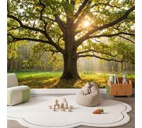 Papier Peint Panoramique Forêt Naturelle, Intissé Photo Papier Peint | Papier Peint imprimé Arbres Anciens Feuilles Lumière Du Soleil Décoration Xxl Murale Pour Salon Chambre Bureau, 250 x 175 cm