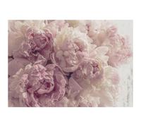 Papier Peint Panoramique Intissé Fleurs 250x175 cm - Colle Inclus - Chambre et Salon - Moderne Papier Peint