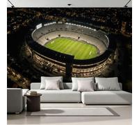 Papier Peint Panoramique Intissé Stade De Football 250x175 Déco Maison