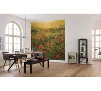Papier peint panoramique "Monde des coquelicots", format XXL, 250 x 280 cm, support intissé