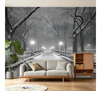 Papier Peint Panoramique Paysage Hiver Paysage De Neige Arbres Banc Réverbère 3D Mural Design, Tapisserie Photo Pour Salon Chambre D'Enfant Décoration Murale Intissée, 300 x 210 cm