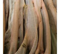 Papier peint photo 363791 Papier peint intissé Modern 371 x 265 cm Rasch Selection Marron